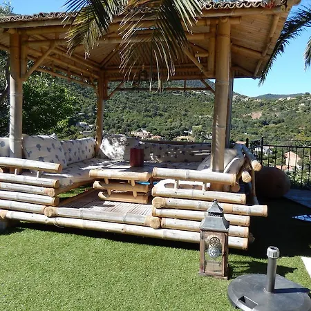 Liyaroyce Cavalaire-sur-Mer